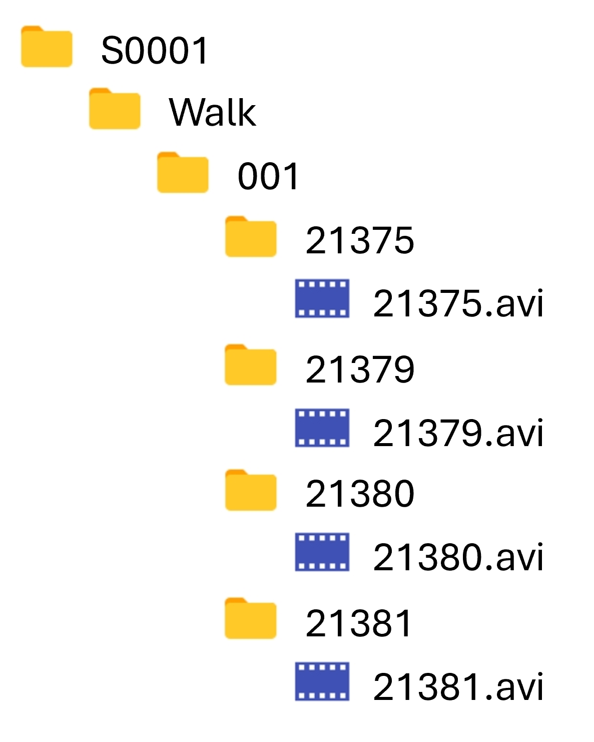_images/vid_folder_structure.png