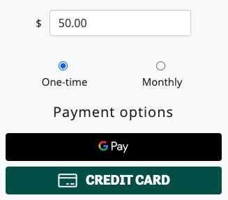 Express Payment Example