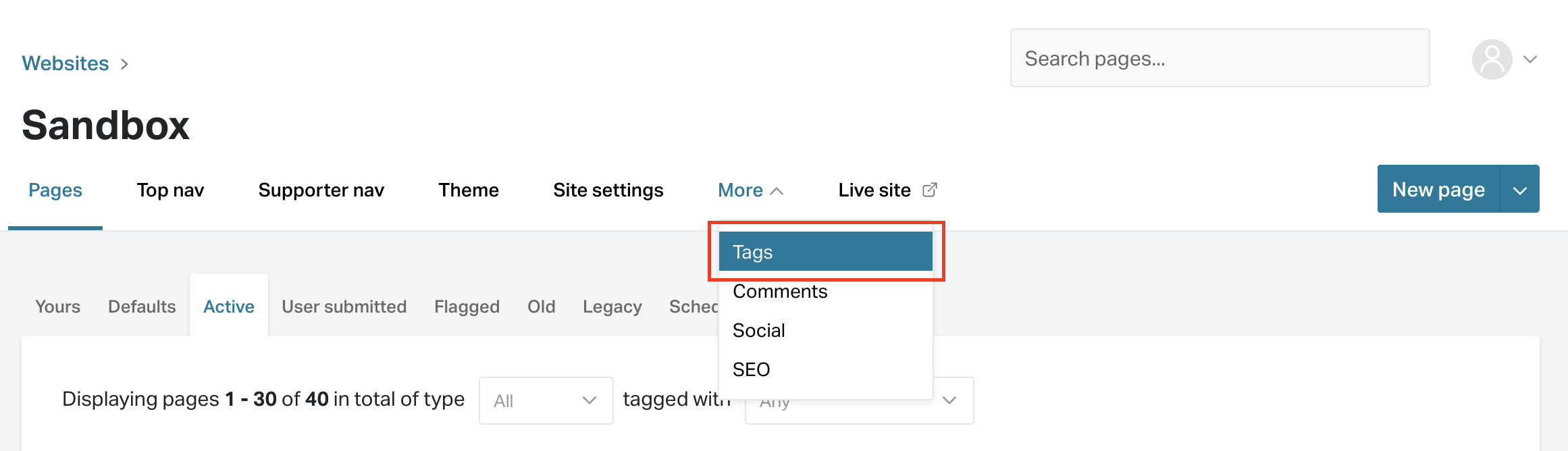 How to navigate to the tags section in NationBuilder