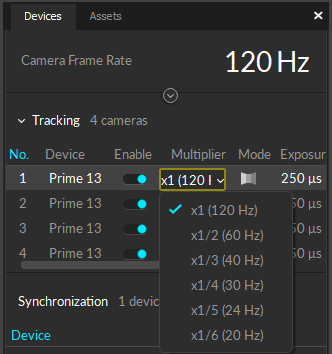 Set the Rate Multiplier on a Reference Camera.
