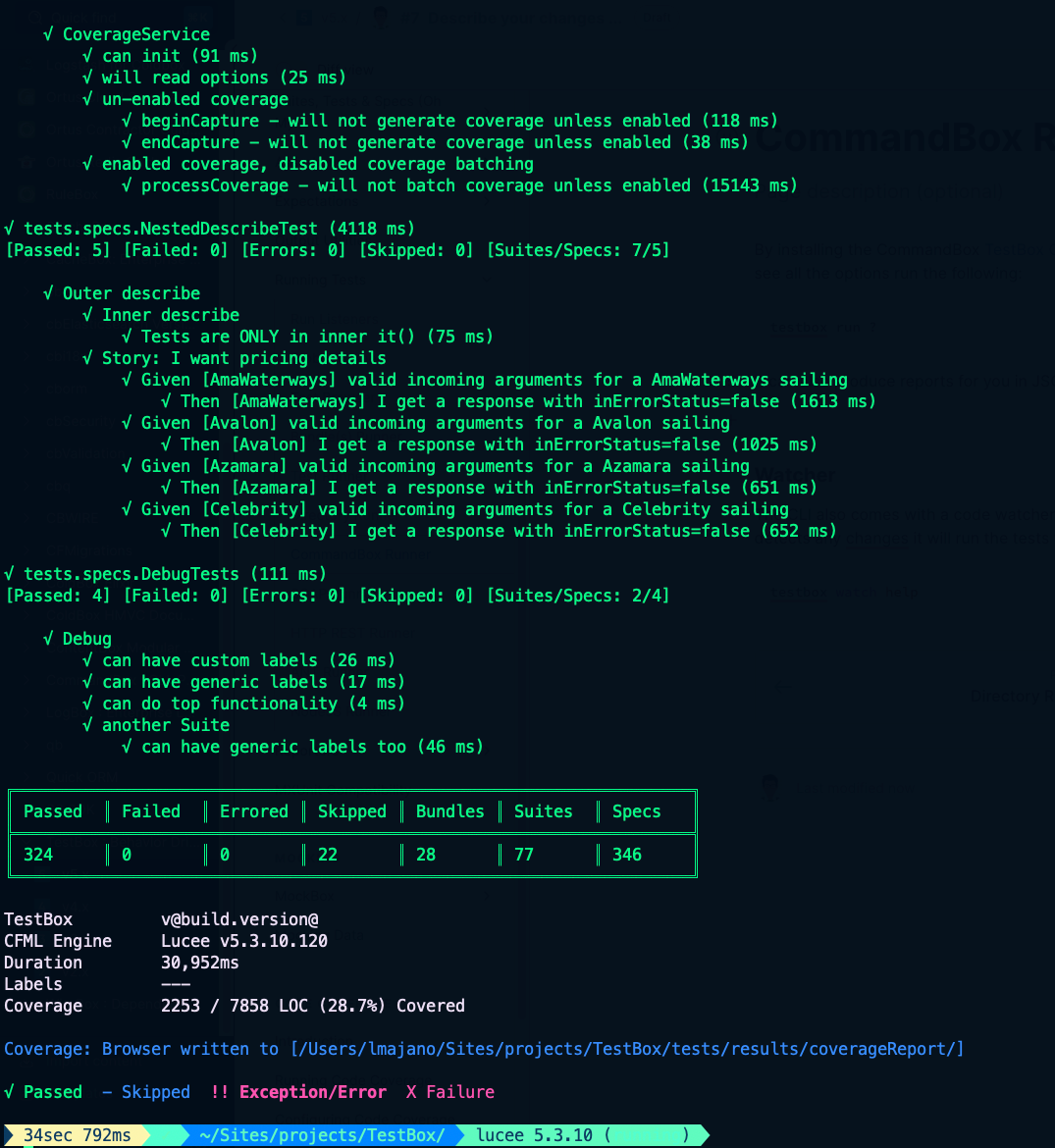 CommandBox runner output
