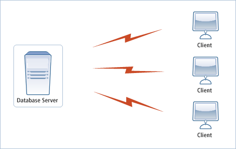 [Figure 1] Client/Server Environment