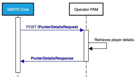 Figure 10: Iframe Returning Information