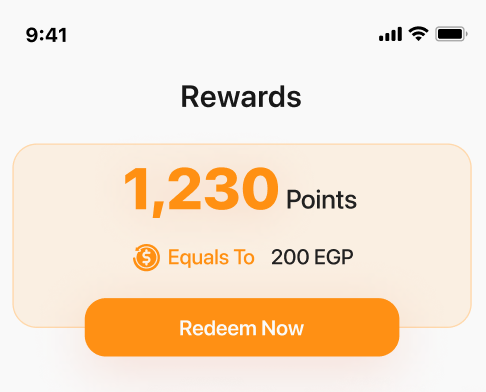 Customer balance UI example