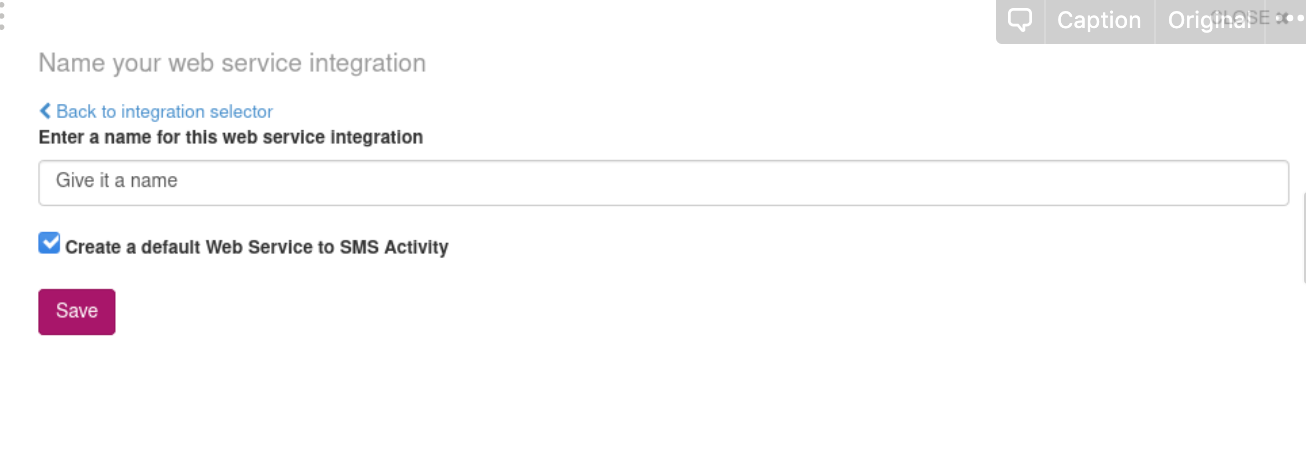 Enter a name for the web service integration