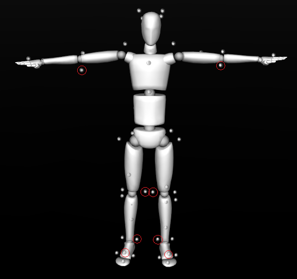 A screenshot of a Motive skeleton in segment view, with the calibration markers still attached. The calibration markers are highlighted with red circles.