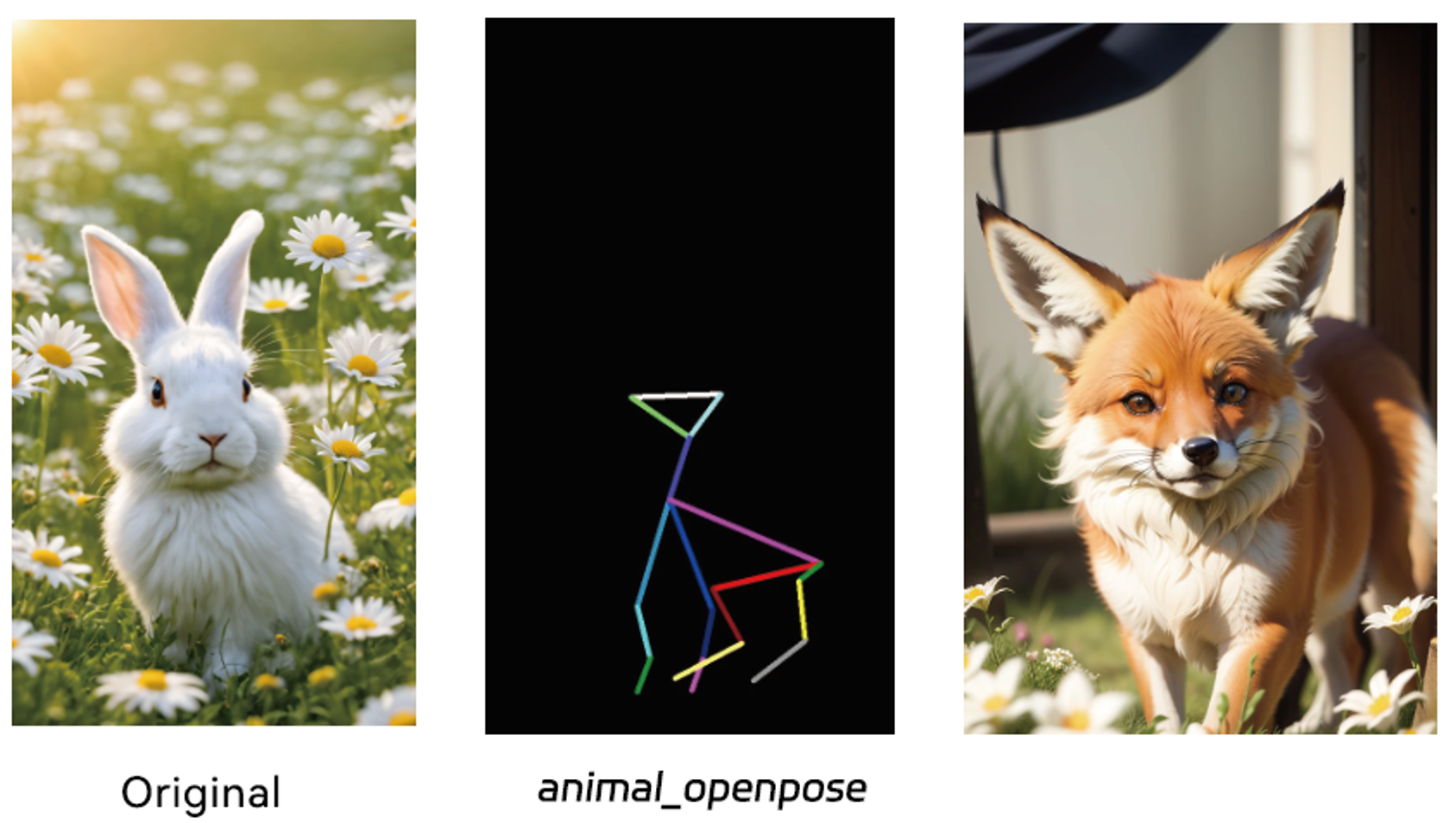 Animal pose recognition