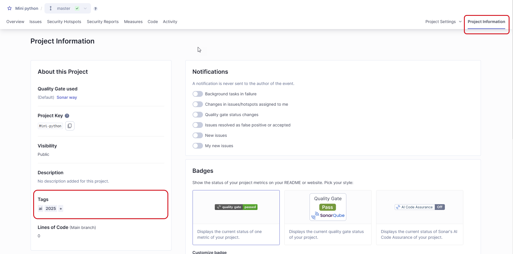 Adding tags on your SonarQube Project Information page.