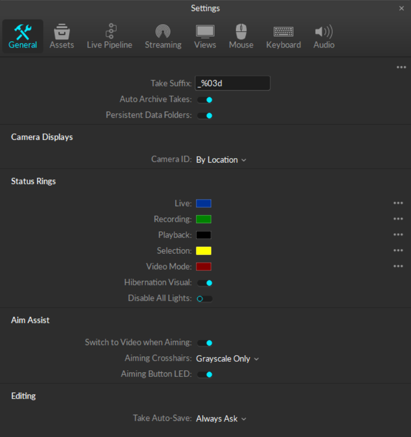Application settings panel in Motive.