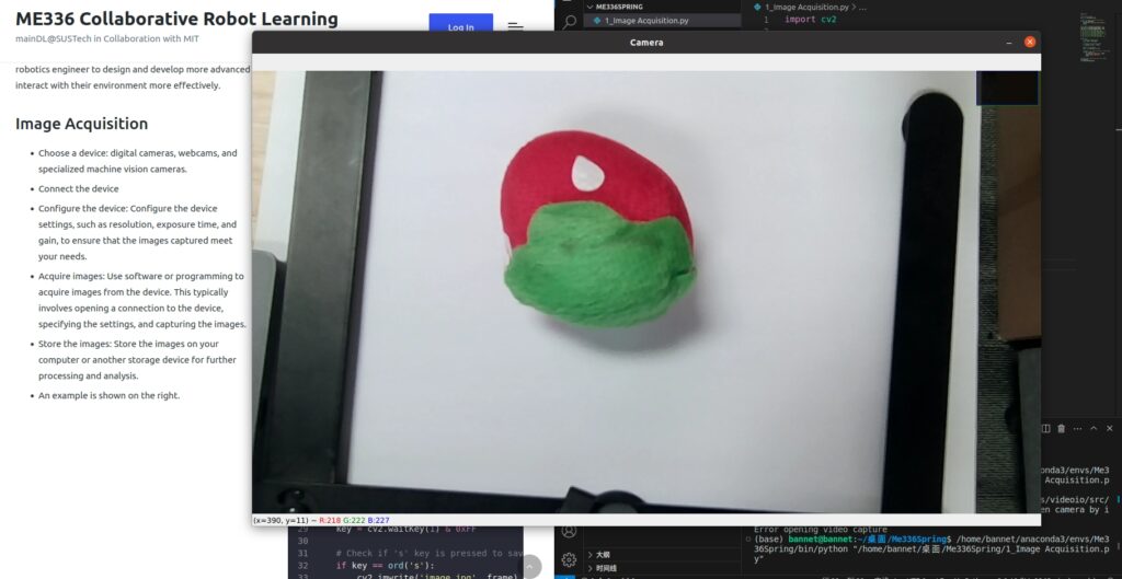 Camera image acquisition example