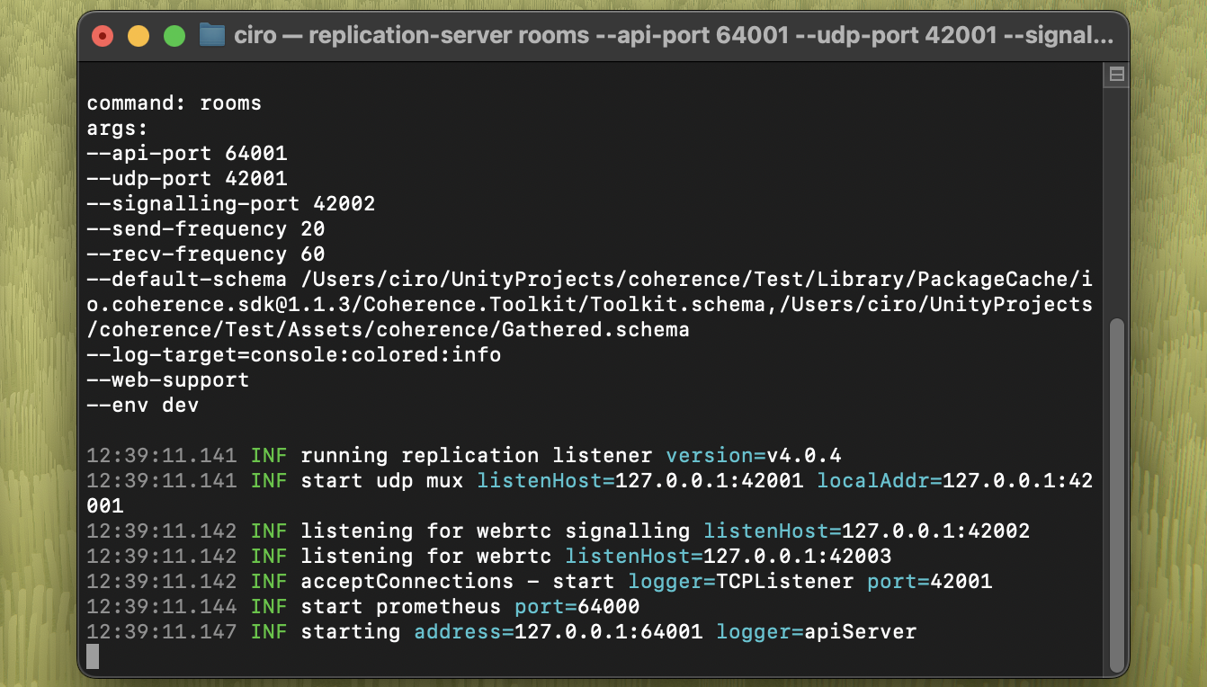 The Replication Server running in macOS Terminal