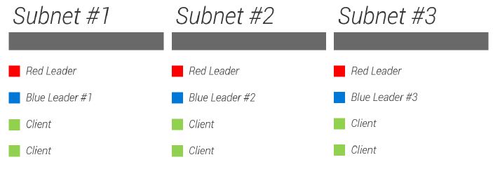 Figure 8 shows a typical StifleR standard setup with Red and Blue Leaders assigned per subnet. Each Red Leader will download the source data and simultaneously share this with its subnet peers. 