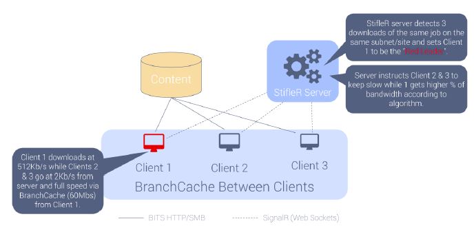 Figure above shows three clients in the same subnet, The server chooses the best candidate to be Red Leader and communicates to it directly that it has been appointed Red Leader. Client1 is assigned Red Leader.