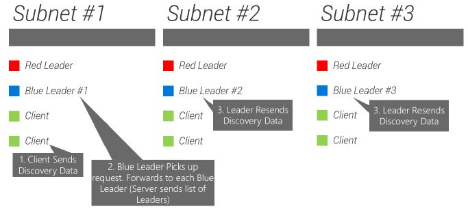 Figure 18 shows a client on subnet #1 requests data which is picked up by Blue Leader #1 which is then forwarded to and broadcast over Subnets #2 and #3 via Blue Leader #2 and Blue Leader #3. The Server transmits the Leader list for every subnet/location