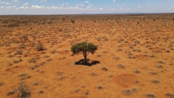 Transforming our land for the future