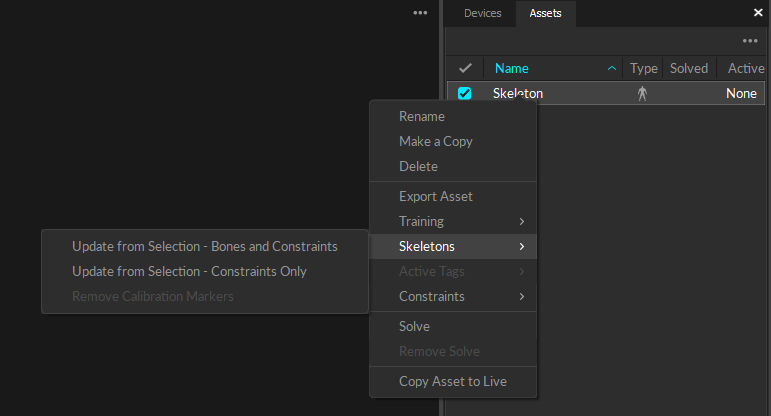 A screenshot of the Motive Assets pane, with a skeleton selected and the context menu displayed. The Skeletons item is selected and the submenu to Update from Selection is displayed. 