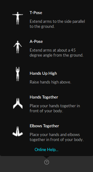 A screenshot of the Skeleton Range of Motion suggested poses list. 