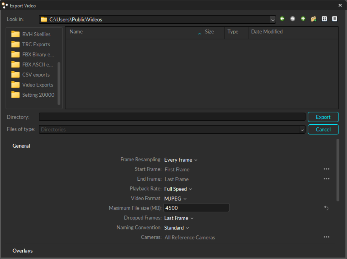 Options to export video from Motive. 