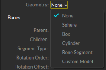 Options to attach Geometry files to rigid body assets. 