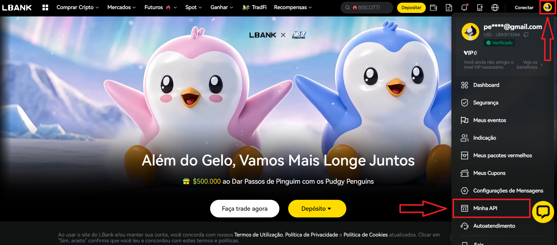 Menu do usuário com a opção Minha API destacada
