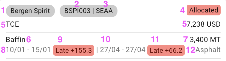 Fields on the Allocated Voyage Card header, with the Performance Cargo 