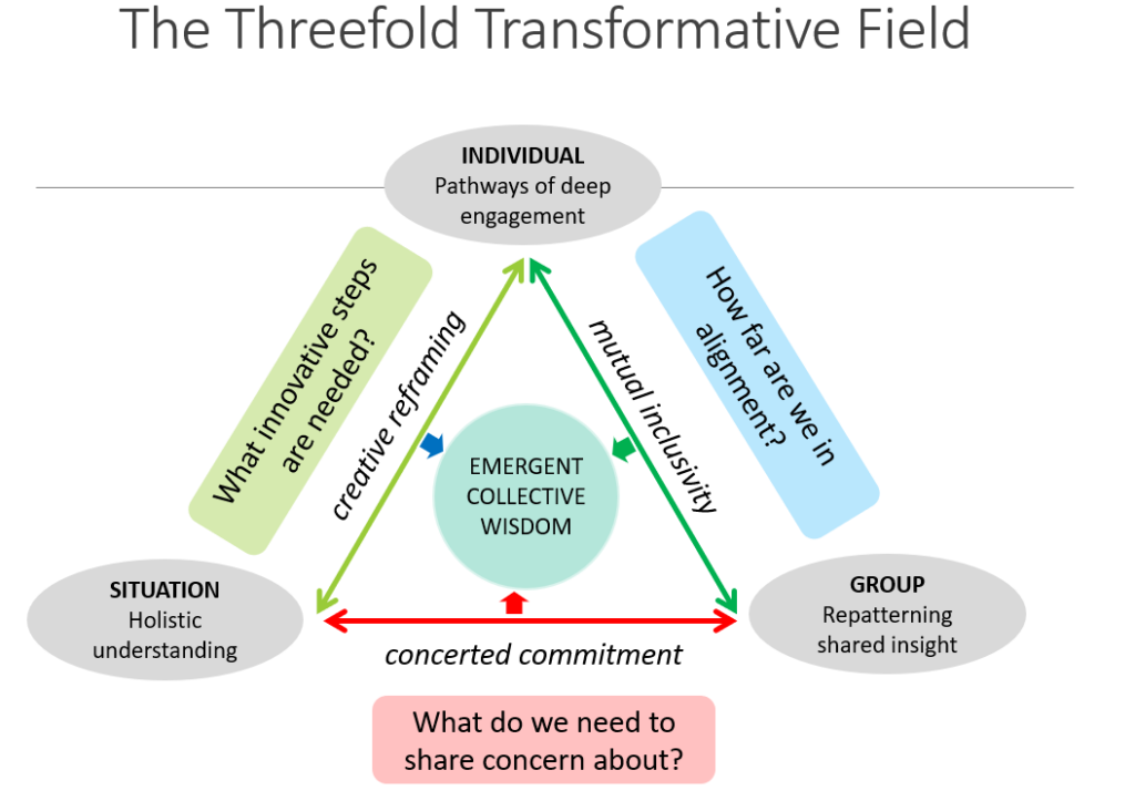 Threefold Transformative Field