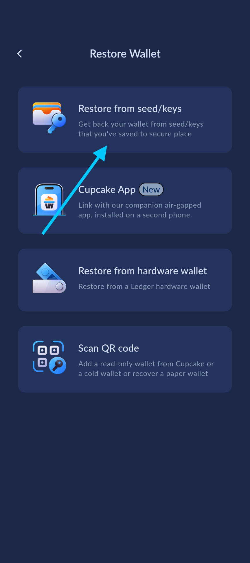 Choose Restore from Seed/Keys
