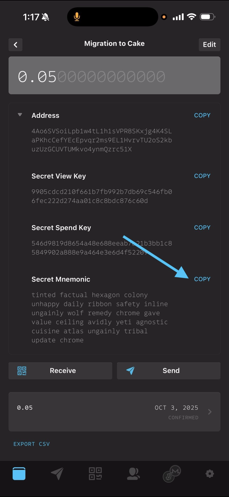 Copy your Secret Mnemonic