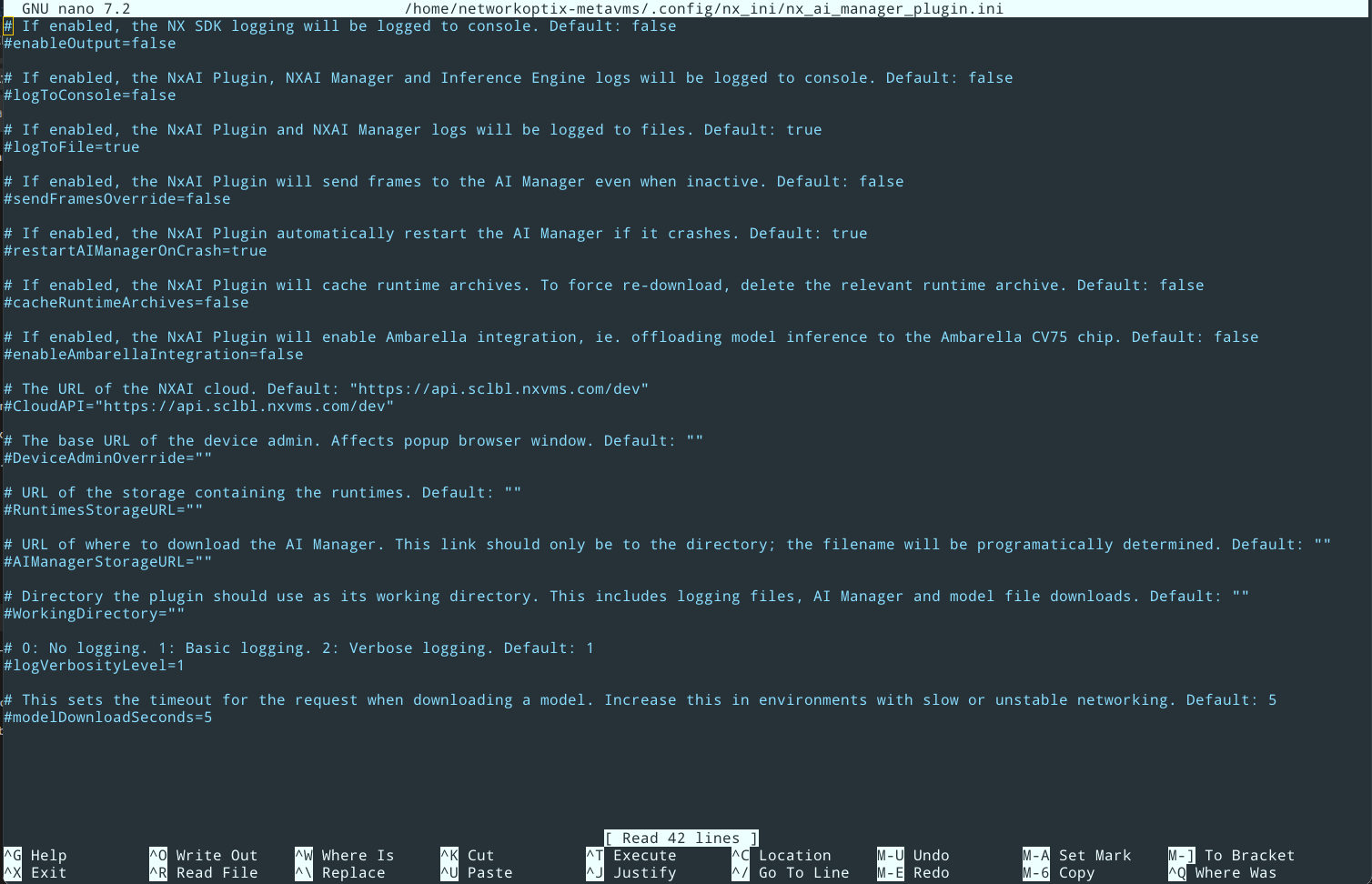 Terminal showing the populated nx_ai_manager_plugin.ini file with auto-generated key-value pairs and inline comments