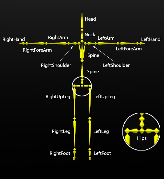 Data Export BVH EXTERNAL OptiTrack Documentation