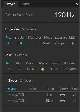 Rizzoli Marker Sets - EXTERNAL OptiTrack Documentation