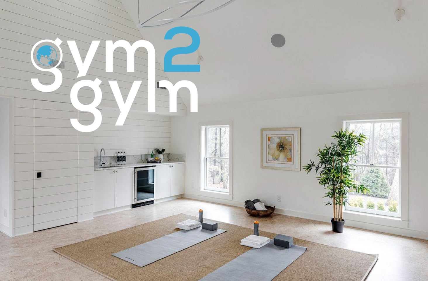 Investing in a Home Gym Revealing the pros and cons Gym2Gym Austin