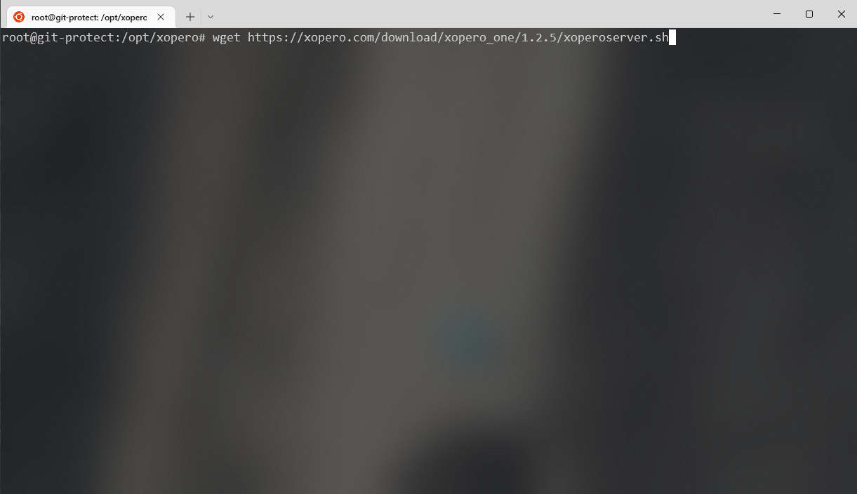 Downloading the Xopero ONE management service on Linux