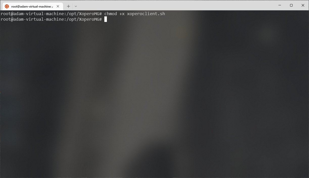 granding the permissions