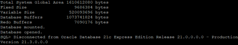 successfully runned database