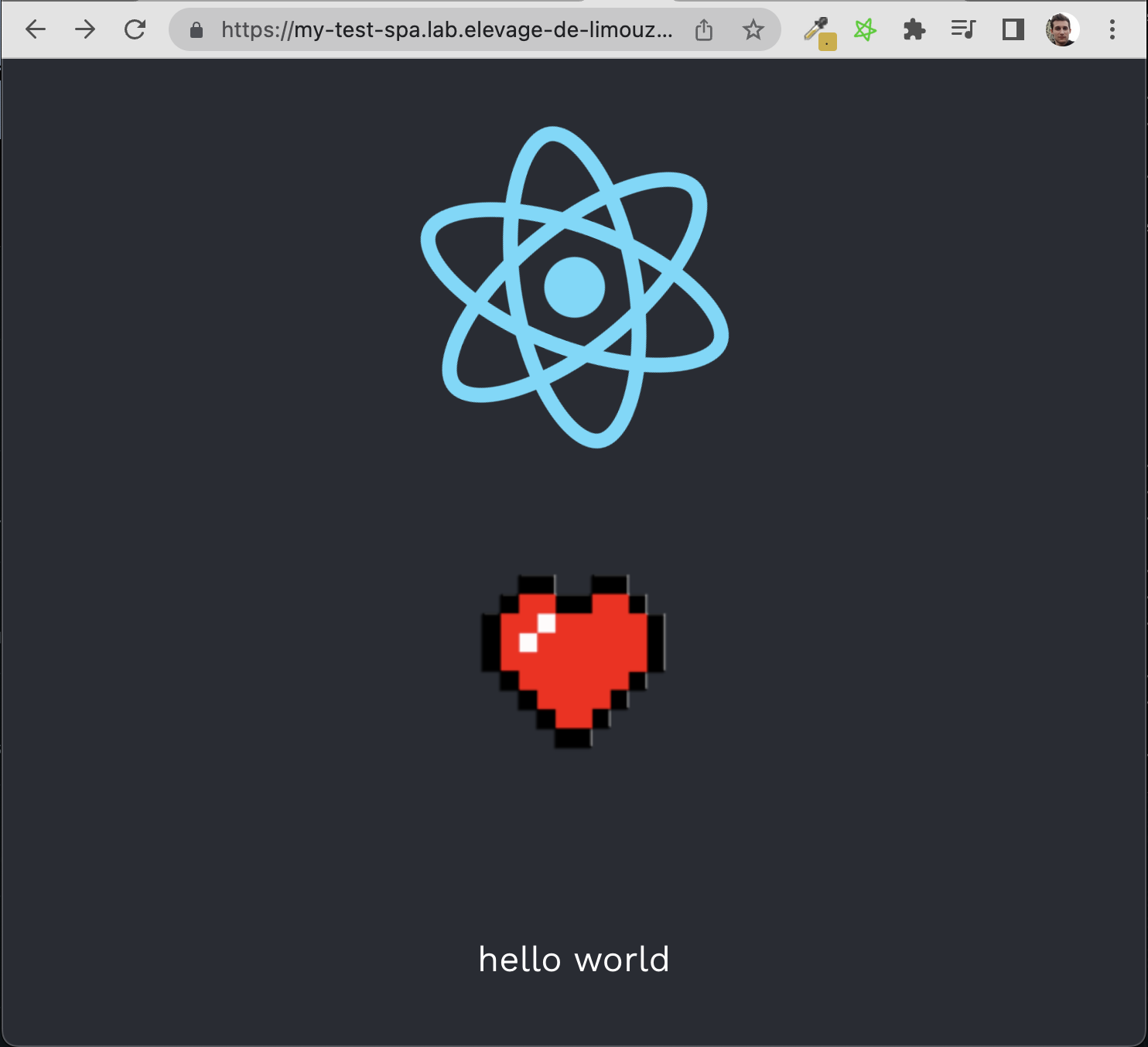 The hello world SPA deployed
