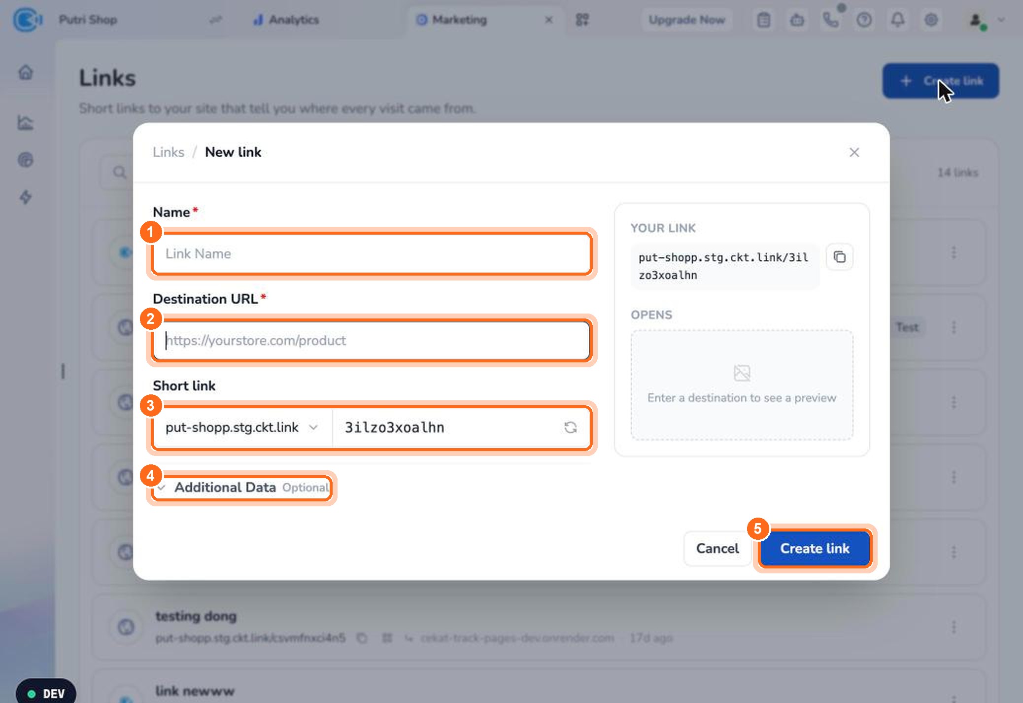 Figure 1. Enter the name (1) and destination URL (2), set the short link (3) and additional data (4), then click Create link (5).