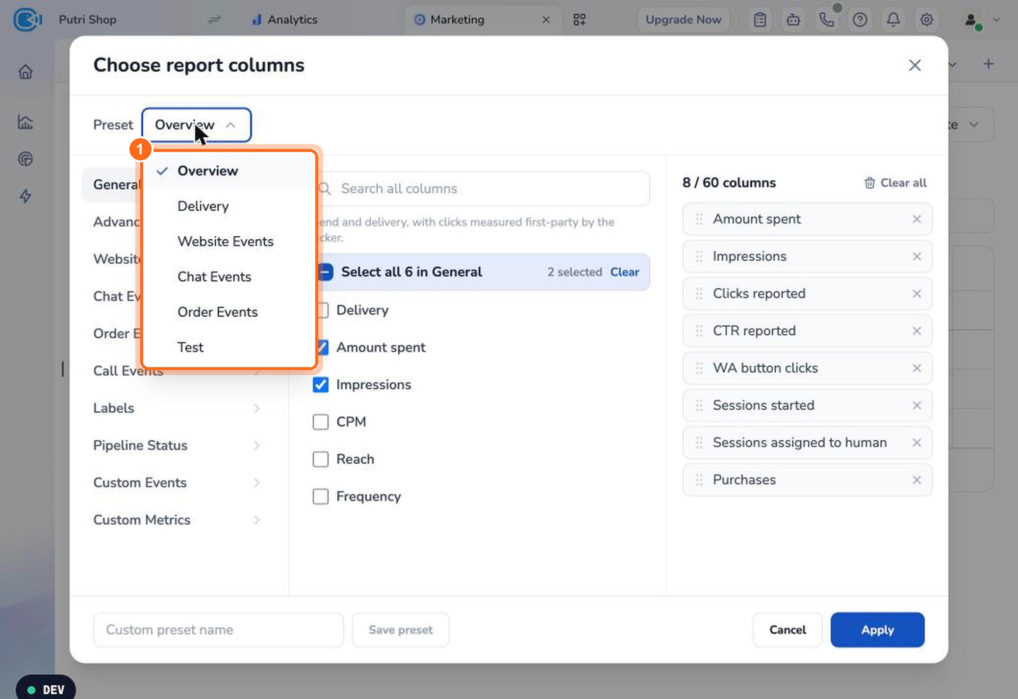 Figure 6. Choose one of the available column presets (1).